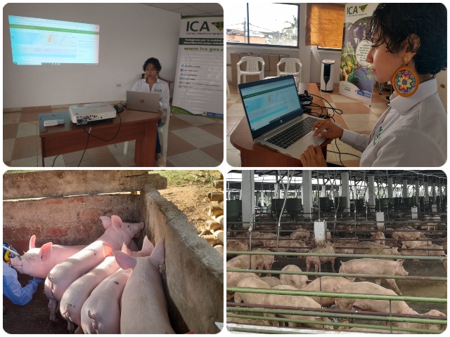  Innovación tecnológica muestras ppc