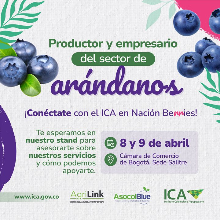 Arandanos.jpg
