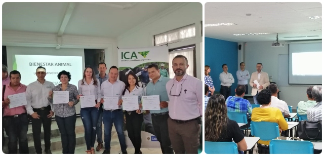 En Santander le apuestan a las Buenas Prácticas Ganaderas en la producción primaria de bovinos