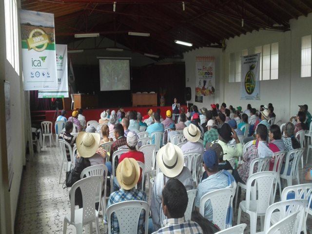 Productores frutícolas del suroeste de Antioquia se capacitan en normatividad sanitaria 