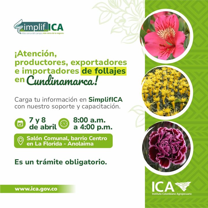 FOLLAJES-CUNDINAMARCA.jpeg FOLLAJES-CUNDINAMARCA.jpeg