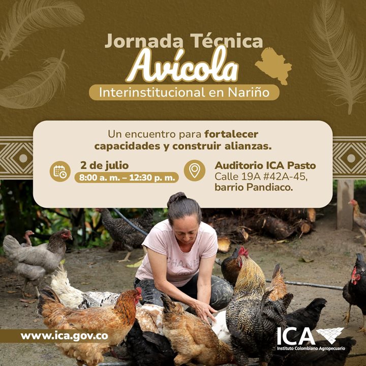 AVICOLA-PASTO.jpeg
