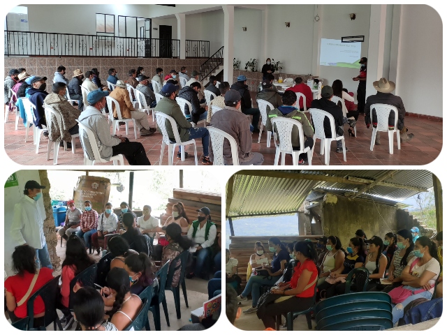 En Boyacá, 150 personas se capacitaron para exportar vegetales en fresco  