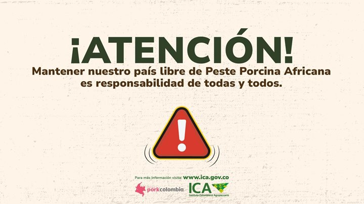 ICABOGOTA.jpeg