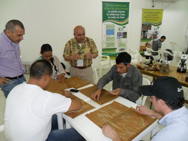 El ICA capacitó en procesos de análisis de semillas a  productores del Tolima y Huila  