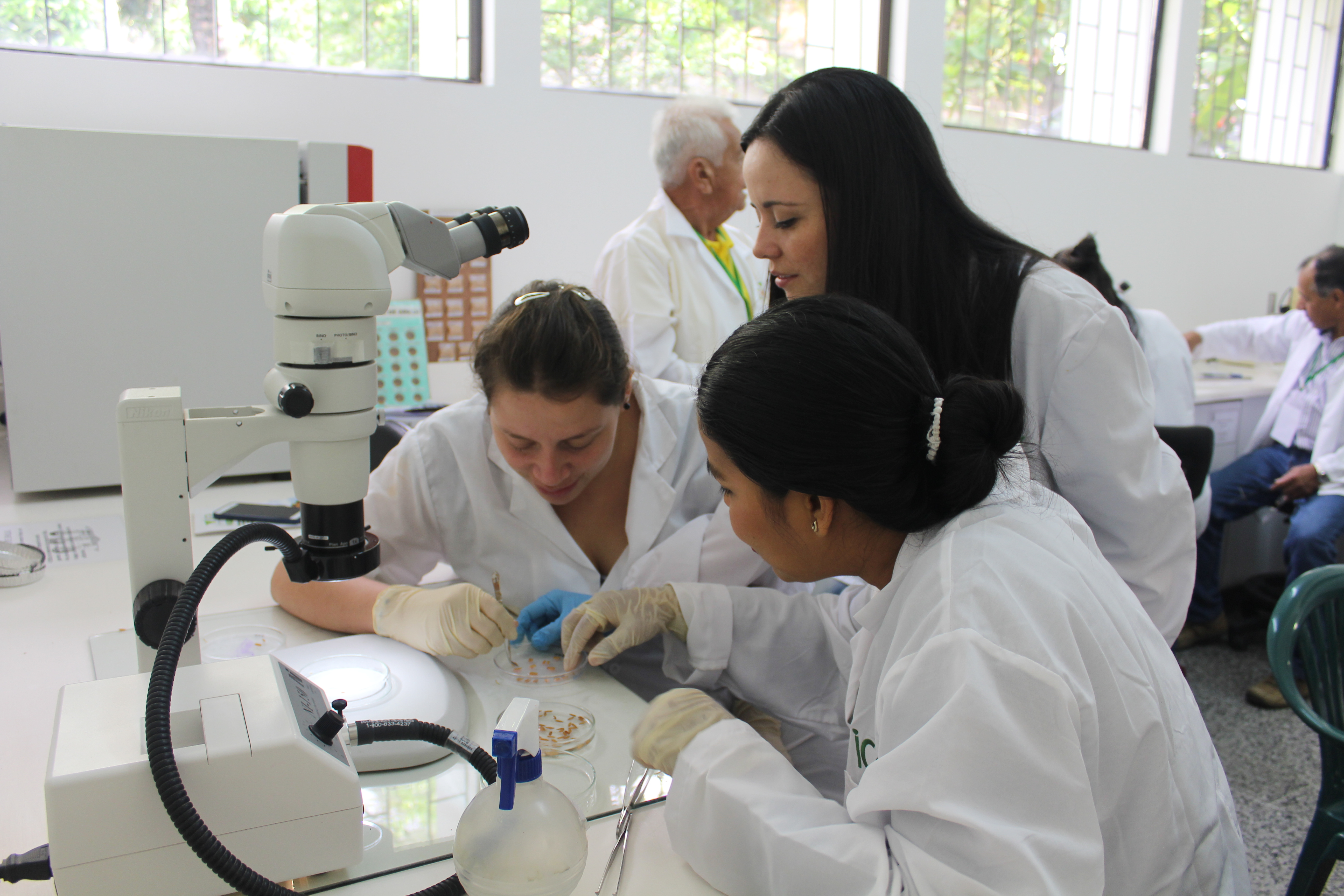 Semillas-Tolima-1.JPG