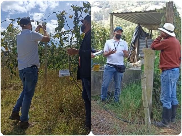 Foto-ICA-Monitoreo-ruta-moscas-de-fruta.jpg