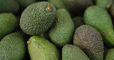 Colombia  y  Estados Unidos avanzan en las acciones para la admisibilidad de aguacate hass de nuestro país.