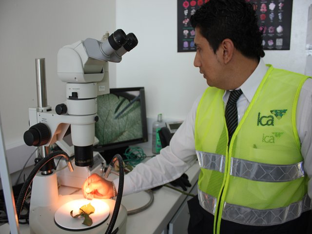Colombia y Holanda avanzan en la certificación electrónica de productos agrícolas