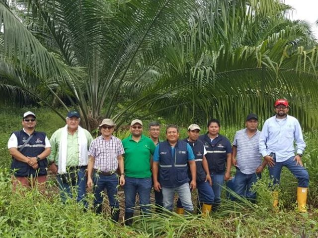 El ICA y Agrocalidad compartieron conocimientos en tema de fortalecimiento de los cultivos de la palma de aceite