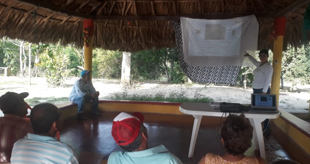 Productores sucreños trabajan por la sanidad de la producción de ñame