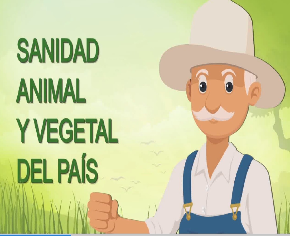 Recomendaciones, sanidad animal y Vegetal del país 