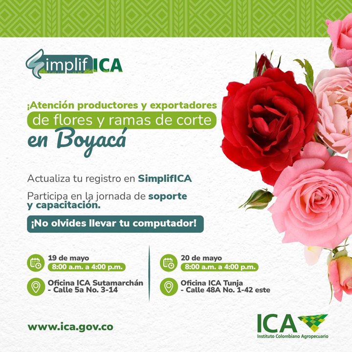 FLORES-BOYACA.jpeg