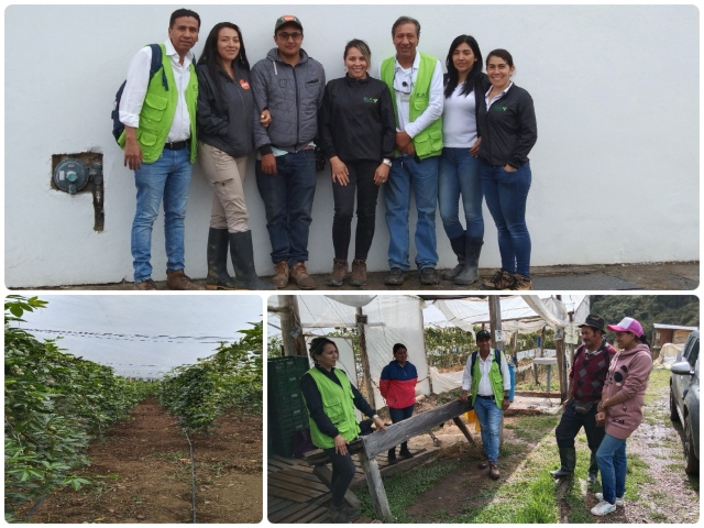Acciones del ICA en Boyacá para garantizar calidad fitosanitaria en la producción vegetal 