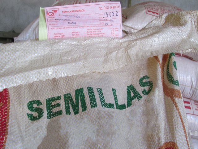 El ICA realiza taller de análisis de semillas para laboratorios en el Meta