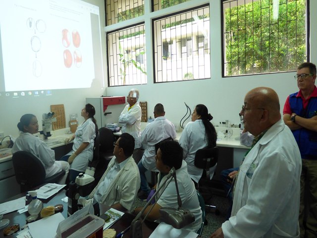 La Asociación Internacional de Ensayos de Semillas ISTA, confirma experticia y capacidad del Laboratorio Nacional de Semillas del ICA.