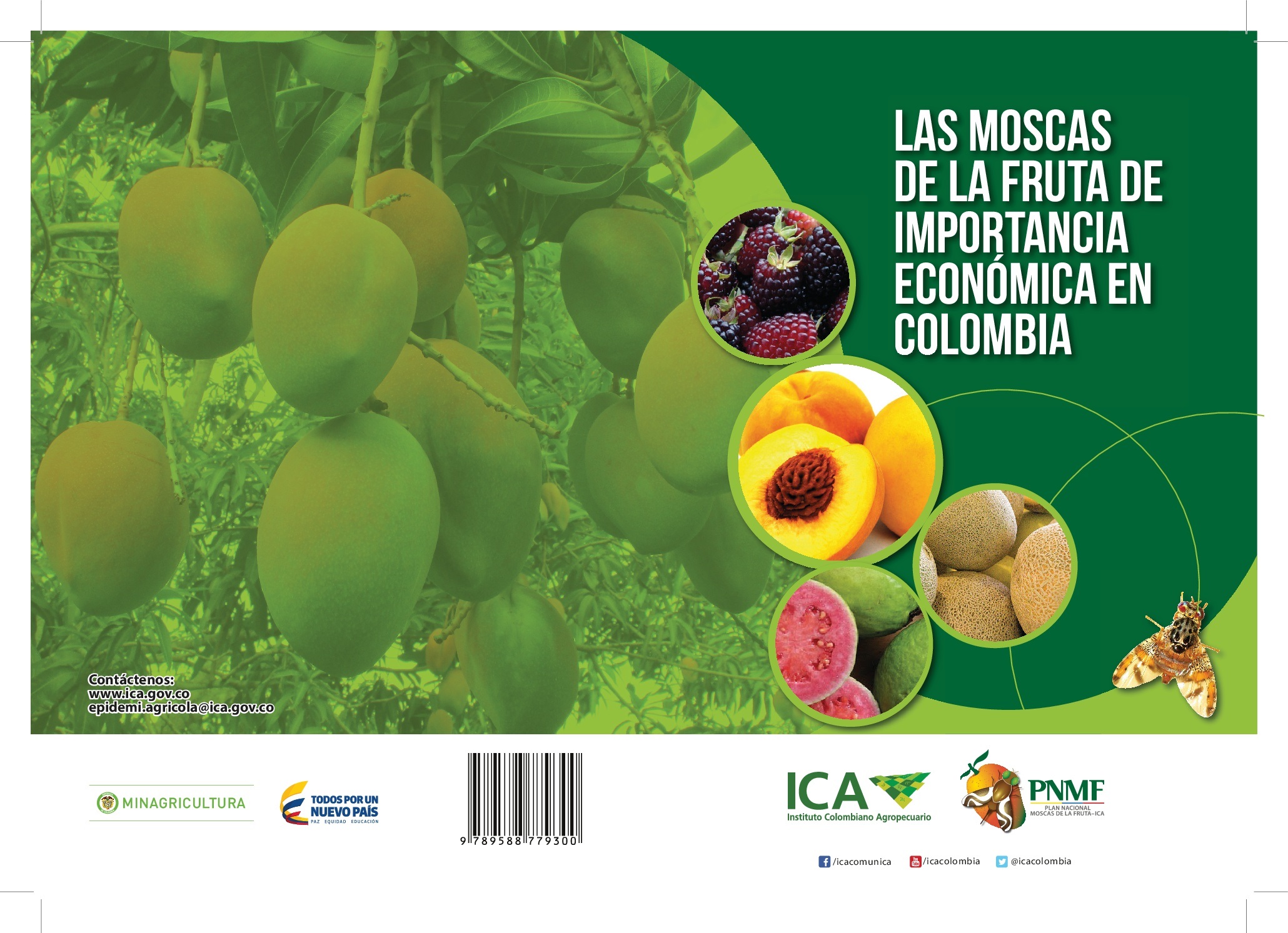 Imagen de Las Moscas de las frutas de importancia económica en Colombia