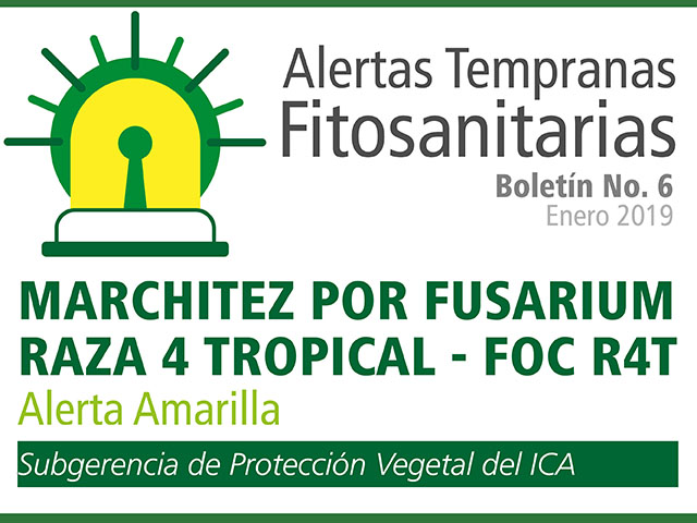 Alertas Tempranas Fitosanitarias - MARCHITEZ POR FUSARIUM RAZA 4 TROPICAL - FOC R4T
