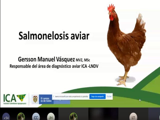 El ICA lideró taller enfocado al método analítico para el aislamiento e identificación de Salmonella spp.