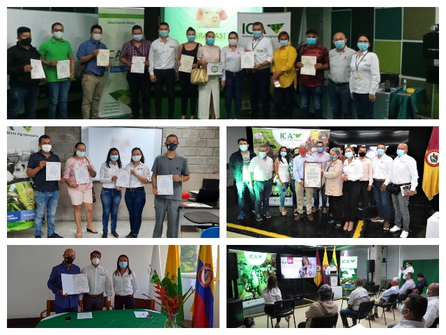 El ICA hizo entrega del certificado de zona libre de Peste Porcina Clásica, en los departamentos de Tolima, Meta, Caldas y el sur de Casanare