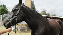 IMG_2567.JPG