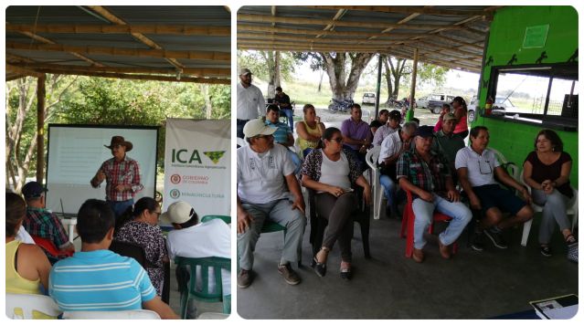 fotos-ICA-cacao-productores-meta.jpg