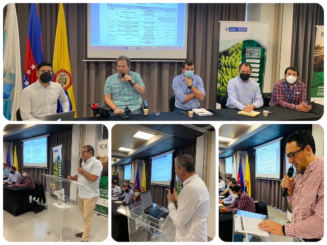 PMU hizo seguimiento a las estrategias de contención y prevención del Fusarium R4T
