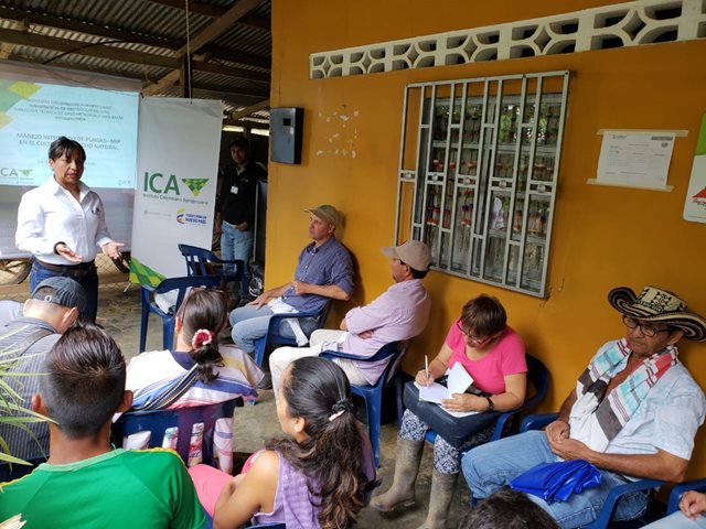 El ICA, en el Caquetá, actualizó a productores de caucho en normas de control fitosanitario