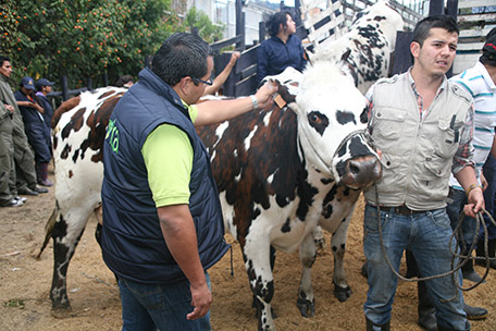El ICA velará por la sanidad agropecuaria en Agroexpo 2013