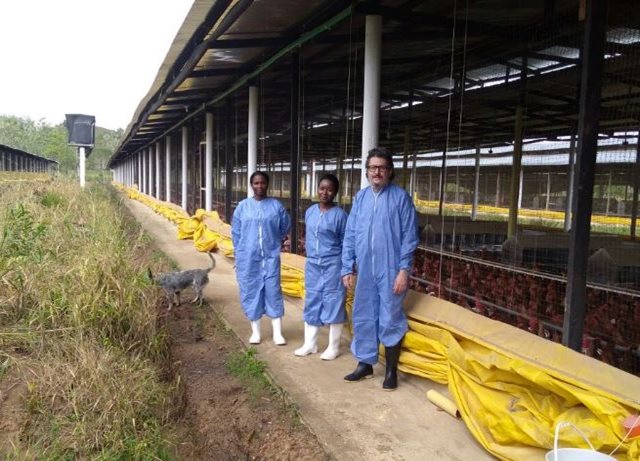 El ICA trabaja en la certificación de granjas bioseguras en el Urabá antioqueño 