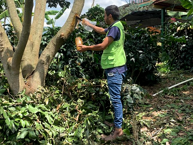 Brigada fitosanitaria en cultivos de Boyacá.