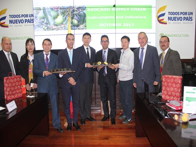 El aguacate Hass colombiano en la mira de  La República Popular China