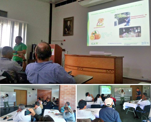 collage-viveristas-antioquia.jpg