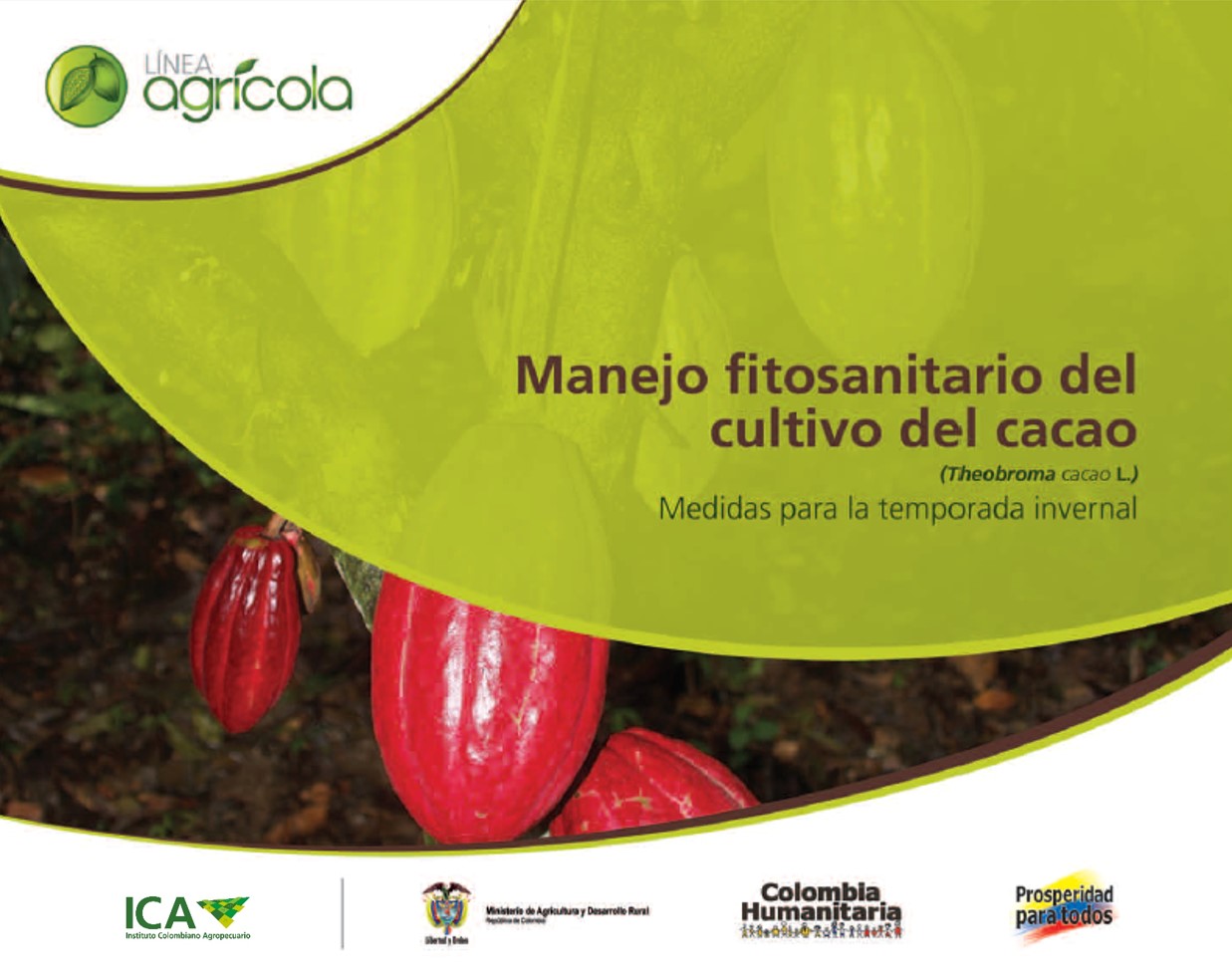 Imagen de Manejo fitosanitario del cultivo del cacao