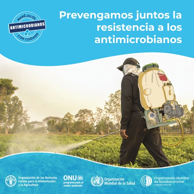 Foto-ICA-reduccion-del-uso-indiscriminado-de-antimicrobianos-2.jpg