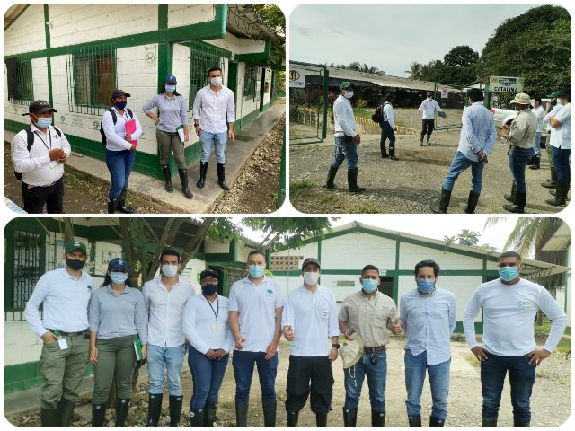 Medidas de protección para prevenir el fusarium R4T 