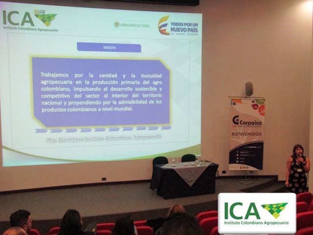 Agroempresarios de plátano y banano trabajan para tecnificar sus cultivos 