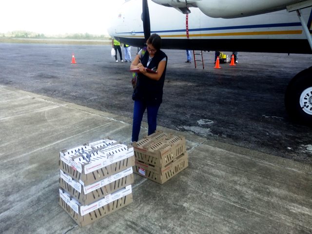 El ICA fortalece acciones de vigilancia y control en puertos y aeropuertos del Guainía