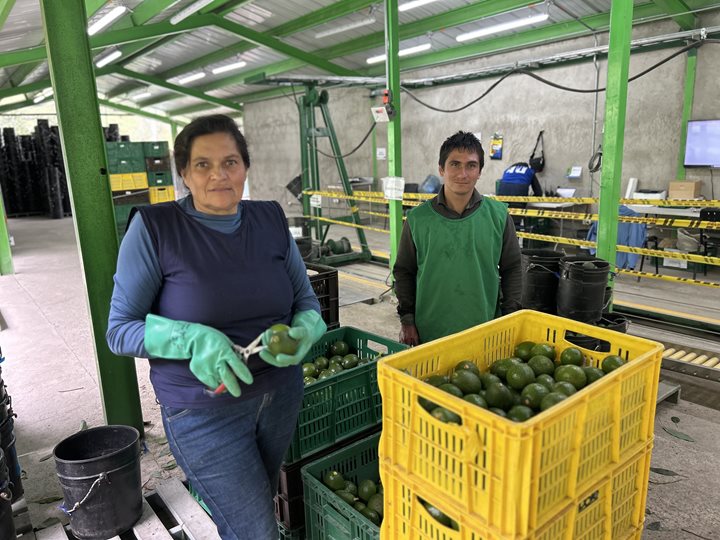 ICA-QUINDIO-772025.jpeg