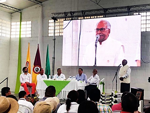 Se inaugura nueva planta empacadora de aguacate Hass en el Tolima