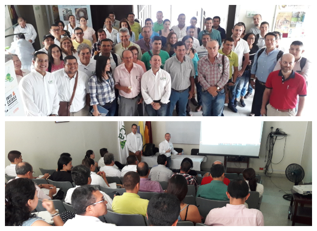 Productores y exportadores tolimenses, interesados en el comercio internacional agropecuario