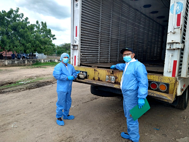 En lo corrido del 2023, Colombia ha exportado más de 1 millón de unidades de pollos de un día hacia Venezuela