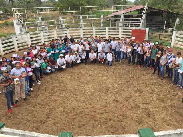 Con Buenas Prácticas Equinas, équidos sanos y productivos en el Casanare 
