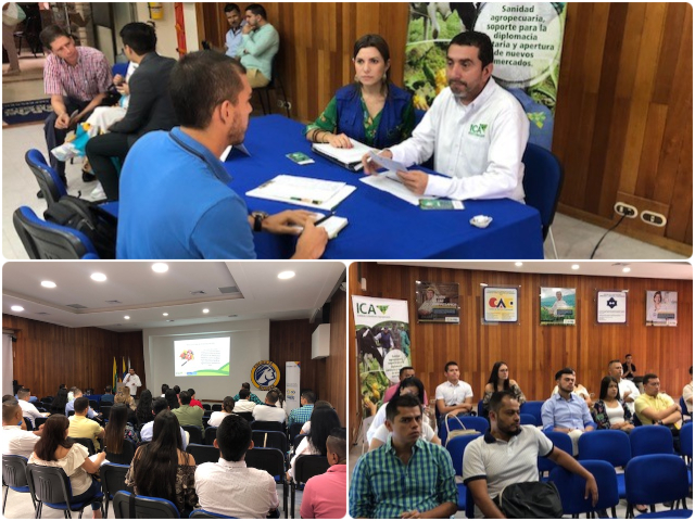 El ICA apoya y guía a los exportadores de productos agrícolas 