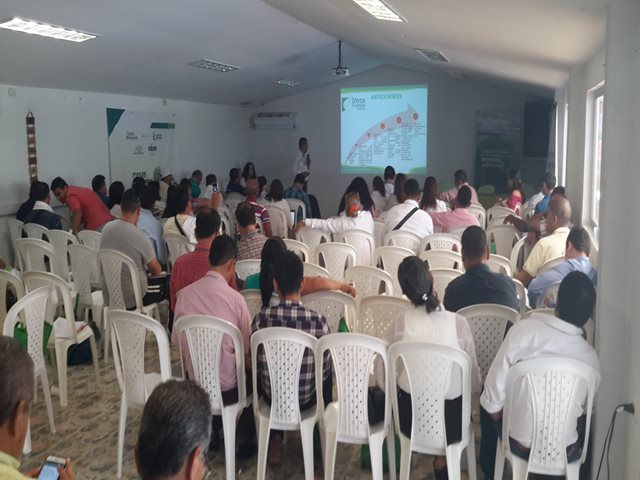 Productores forestales del Amazonas en alianza estratégica con el ICA para el control fitosanitario de sus cultivos