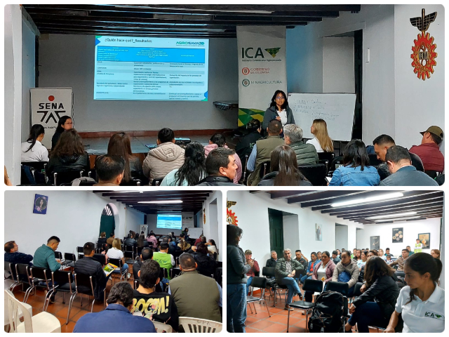 Mesa fitosanitaria en Norte de Santander