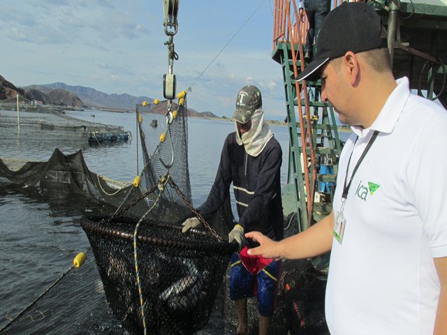 El ICA capacitó a productores piscícolas en medidas sanitarias y de bioseguridad en Casanare