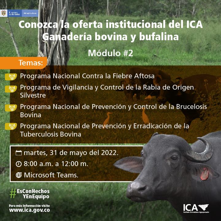 Invitacion-Bovina_modulo-2_Mailling.jpg
