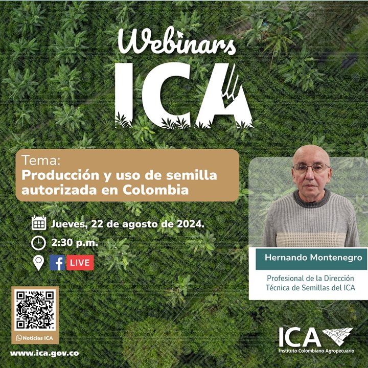 ICASEMILLAS.jpeg
