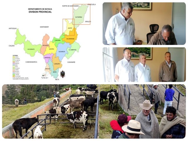 El ICA establece nuevo punto de servicio al ganadero en Boyacá